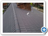 Renfrewshire- Roof Tiling